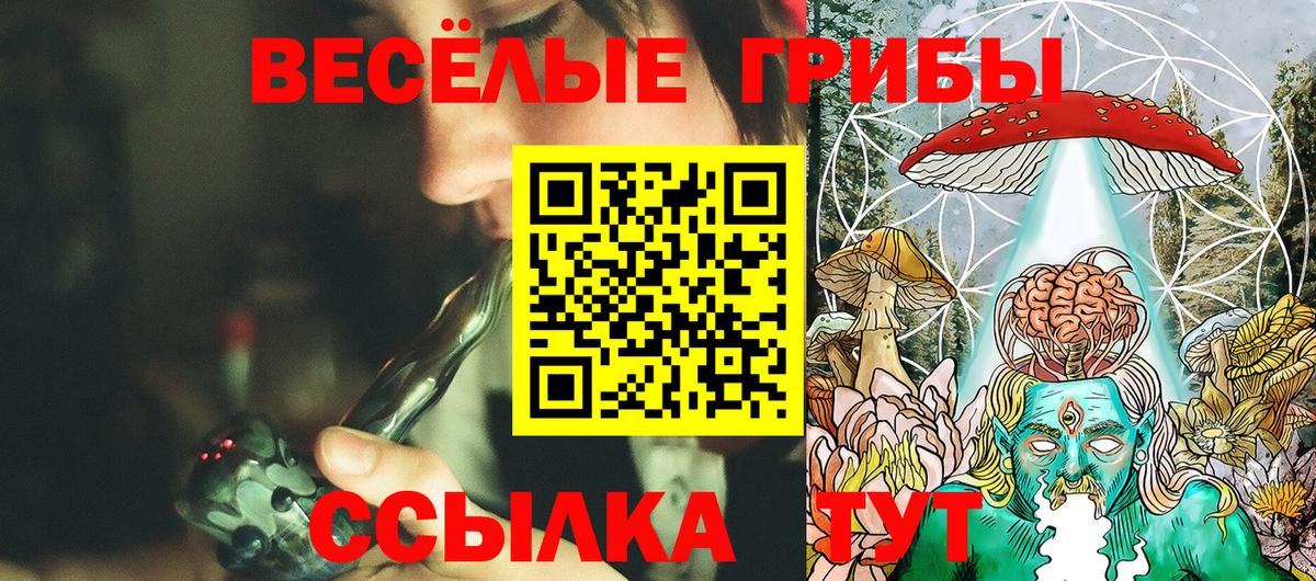 Павлово  Галлюциногенные грибы Cubensis  Вход с VPN 